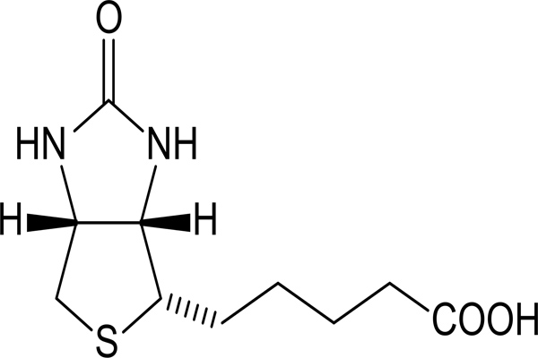 biyotin