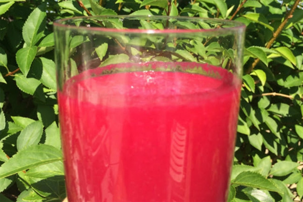 cileklipancarlismoothie