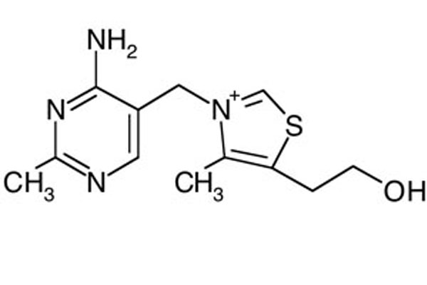 pantotenikasit