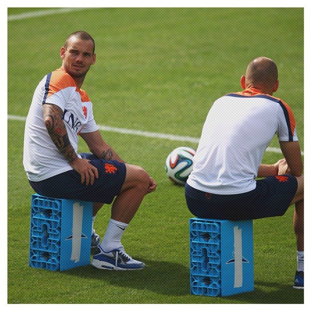 wesleysneijder