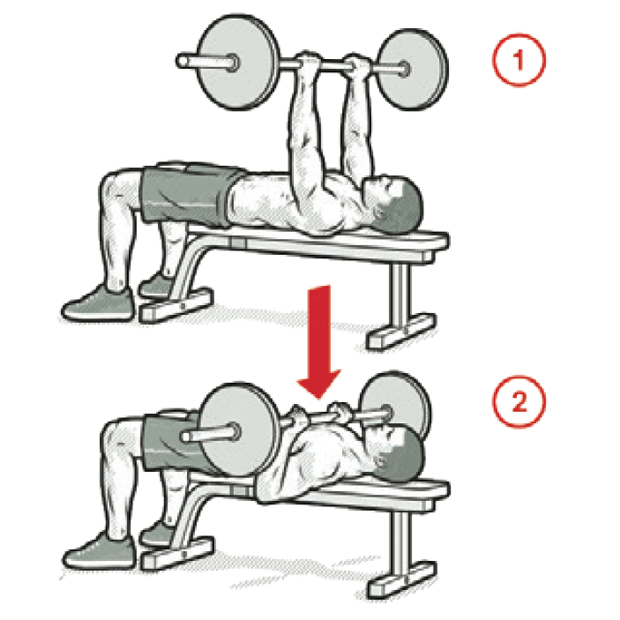 benchpress