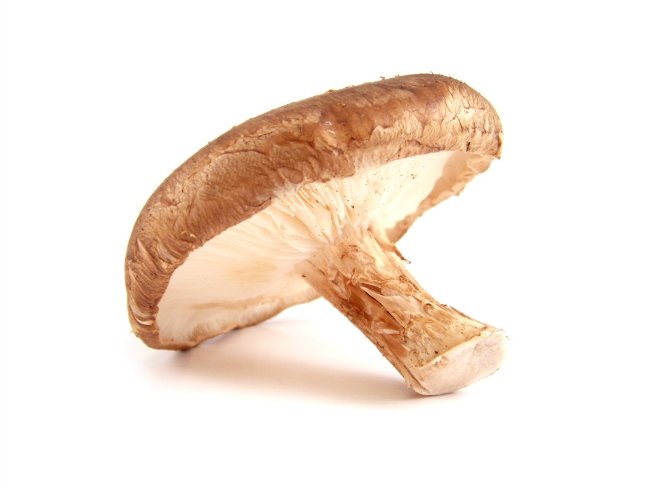 shiitake mantari