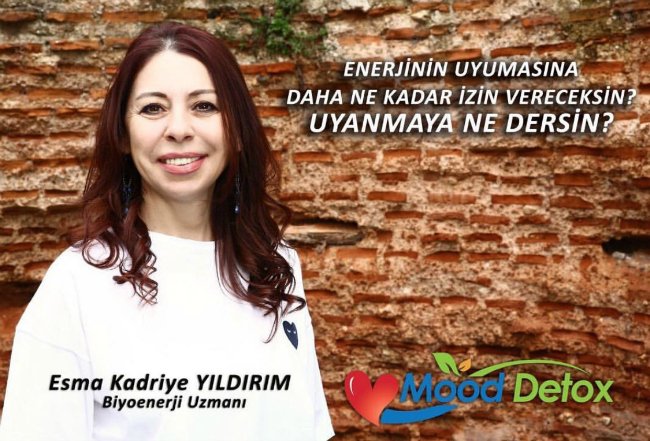 kadriye yildirim