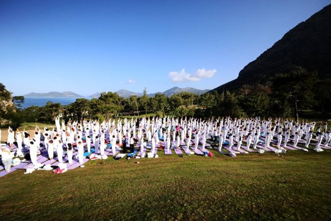 yoga festival