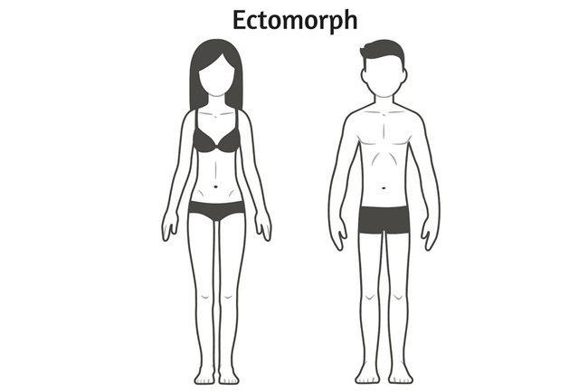 ectomorph