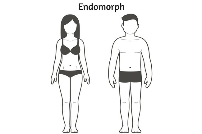 endomorph