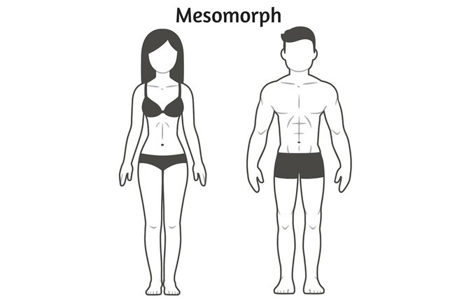 mesomorph